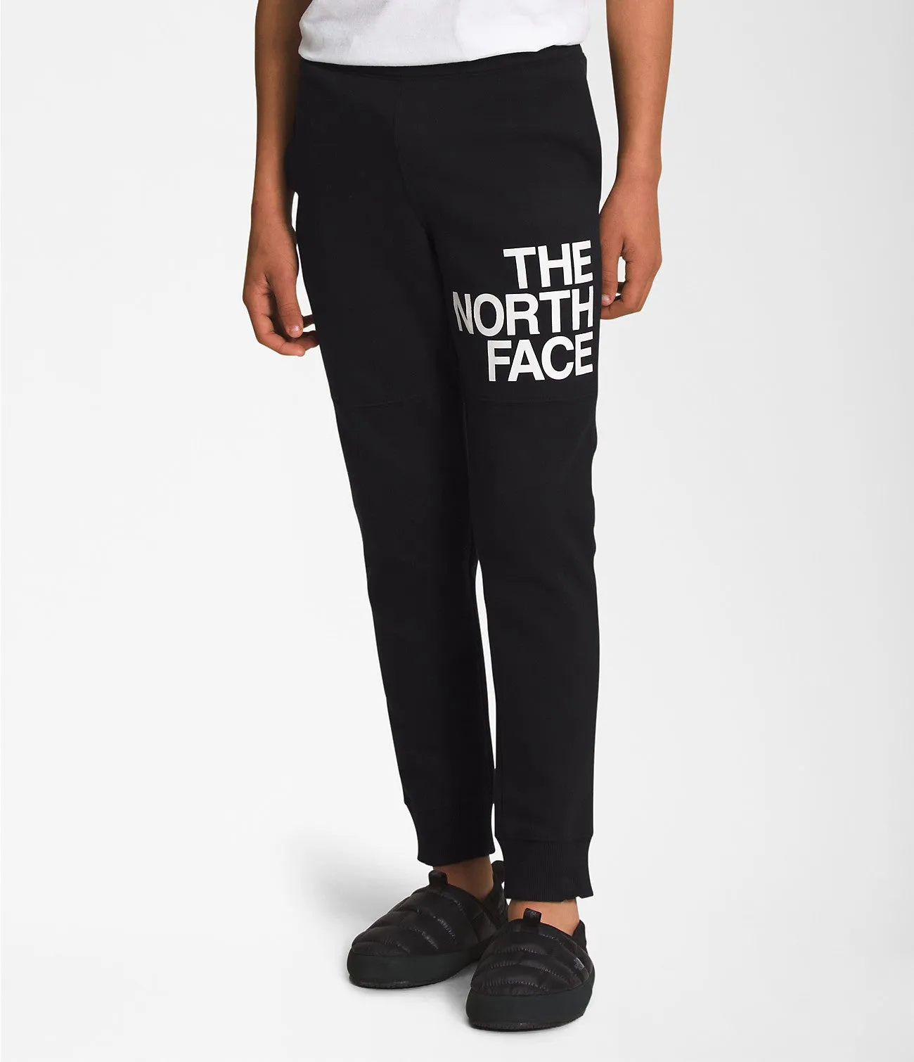 Camp Fleece Joggers (Boys') - Past Season