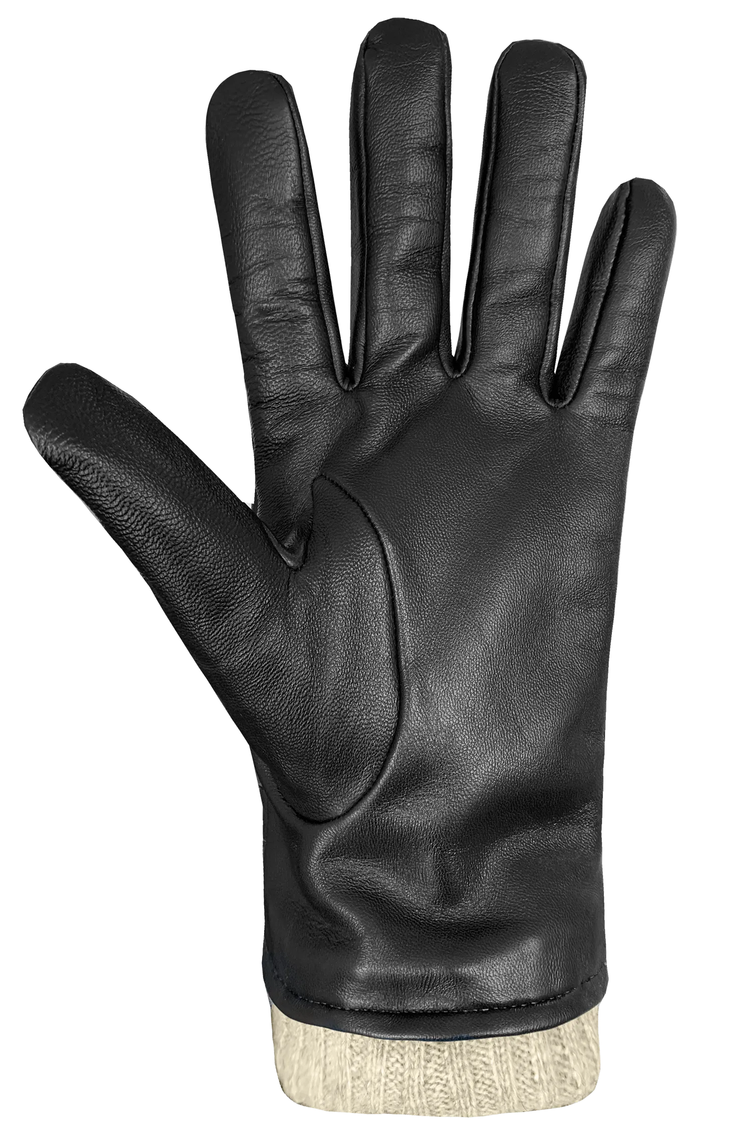 Dario Gloves - Men