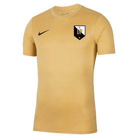 DP Academy - Park VII Gold Jersey