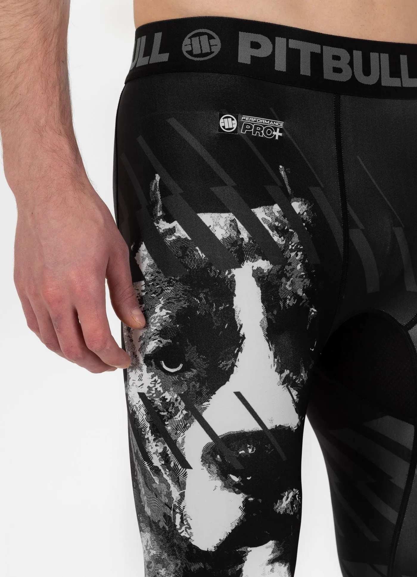 Sports leggings Street Dog